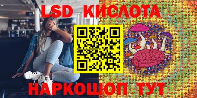 Альфа ПВП Аргун