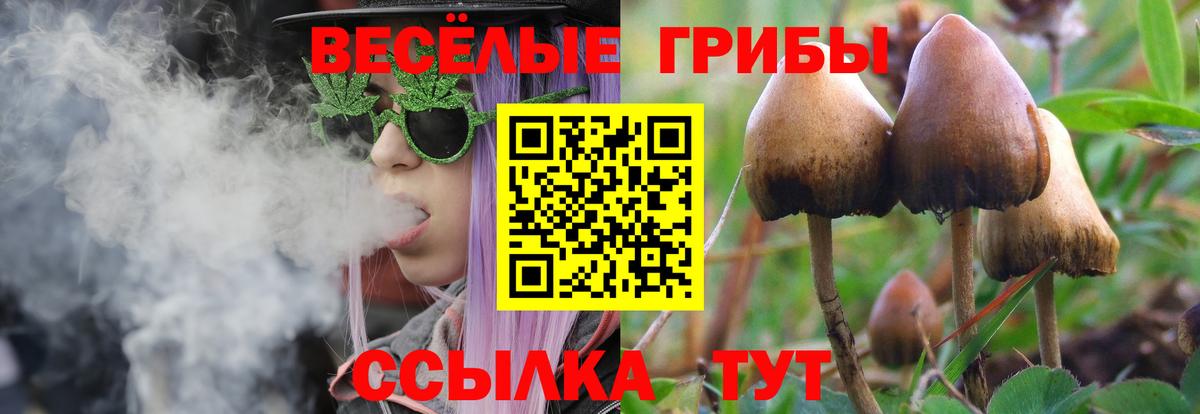 Псилоцибиновые грибы прущие грибы Архангельск